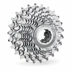 Pacco Pignoni Miche Primato 10V 13/28