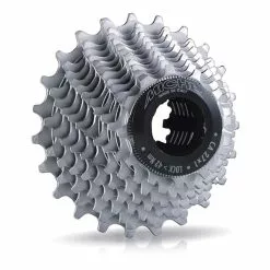 Pacco Pignoni Miche Primato 11V 12/27