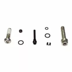 Kit Ricambio SRAM Viteria Pinza Freno Guide RSC